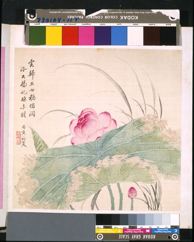 Album kwiatów i ptaków, data nieznana (tusz i kolor na jedwabiu) autorstwa School Chinese