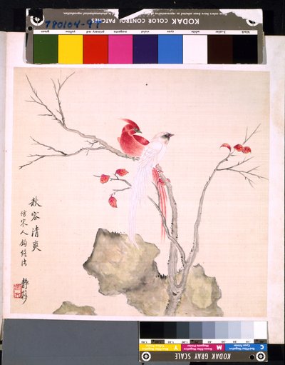 Album kwiatów i ptaków, data nieznana (tusz i kolor na jedwabiu) autorstwa School Chinese