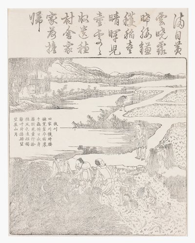 Zbieranie ryżu autorstwa School Chinese