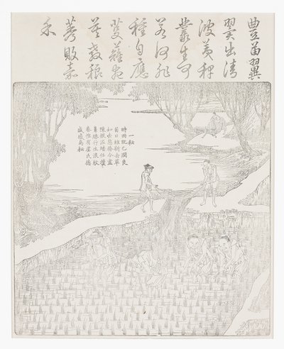 Nawadnianie ryżu autorstwa School Chinese