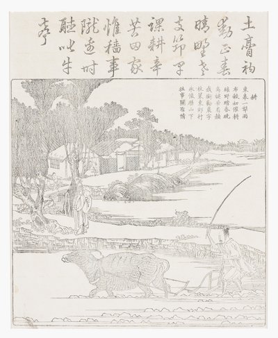 Orka bawołem wodnym w błotnistym ryżu niełuskany. autorstwa School Chinese