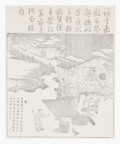 Przesiewanie ryżu autorstwa School Chinese