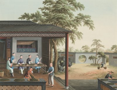 Produkcja herbaty, ok. 1820 (akwarela i złota farba na jedwabiu położonym na papierze) autorstwa School Chinese