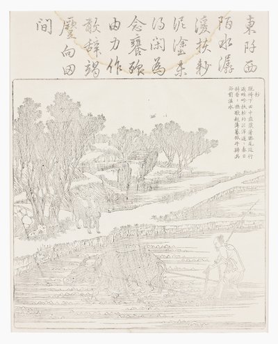 Uprawa pola ryżowego przy suchej pogodzie autorstwa School Chinese