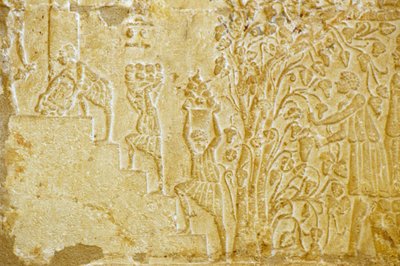 Starożytny Egipt, rzeźba ścienna, grobowiec Petosiris, Tuna el Gebel, 300 p.n.e., przenoszenie winogron do prasy do wina (zdjęcie) autorstwa School Egyptian