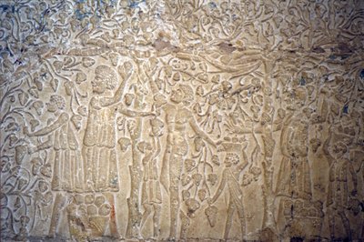 Starożytny Egipt, Rzeźba/malarstwo ścienne, , Grobowiec Petosiris, Tuna el Gebel, 300 p.n.e., Zbieranie winogron do produkcji wina (zdjęcie) autorstwa School Egyptian