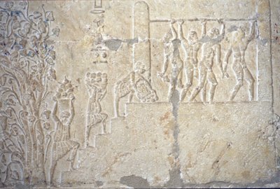 Muinainen Egypti, Seinien kaiverrus/maalaus, Petosiriksen hauta, Tuna el Gebel, 300 eKr., Viininkorjuu, Viinin valmistus, Viinipuristin (valokuva) kiillotus autorstwa School Egyptian