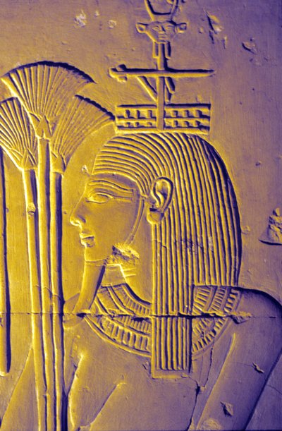 Muinainen Egypti, Seinämaalaus/kaiverrus, Niilin jumala tuo lootuksenkukintoja, Seti I:n temppeli, puolalainen Abydos autorstwa School Egyptian