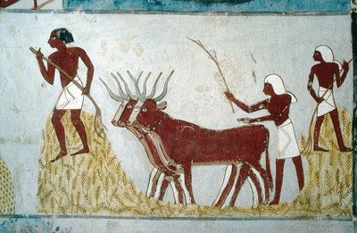 Luksor, Teby: Grobowce szlachty: grobowiec Nakht. Scena rolnicza. Dolina Szlachetnych. autorstwa School Egyptian