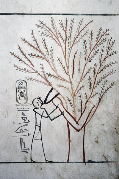 Luksor, Teby: Dolina Królów. Grób Totmesa (Totmesa lub Tutmesa) III (-1504 - -1450), faraona Egiptu. autorstwa School Egyptian