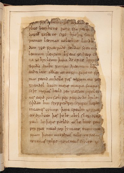 Strona Beowulfa z folio, czasami nazywana „Kodeksem Nowella” autorstwa School English