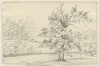 Cannock Chase: rysunek długopisem i ołówkiem, bd [?XIX w.] (rysunek) autorstwa School English