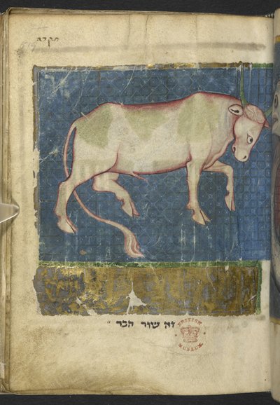 Dodaj MS 11639 f.519t Byk, z Miscellany biblijnych i innych tekstów (