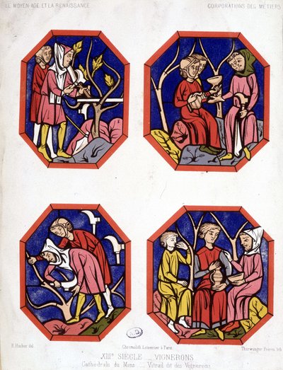 Corporation des vignerons - witraże winiarzy z Cathedrale du Mans autorstwa School French