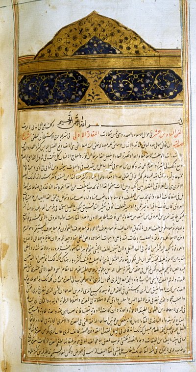 Strona z Kanonu medycyny (al-Qānūn fī aṭ-Ṭibb) autorstwa Awicenny autorstwa School Iranian