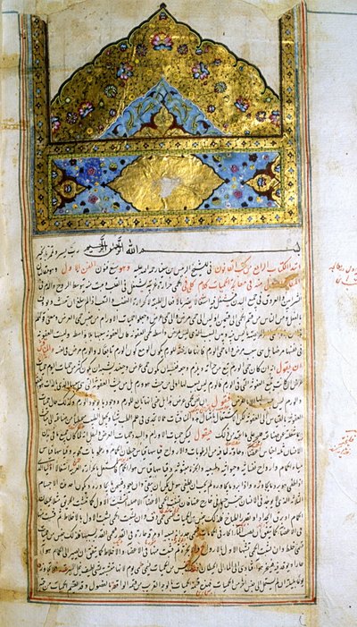 Strona z Kanonu medycyny (al-Qānūn fī aṭ-Ṭibb) autorstwa Awicenny autorstwa School Iranian