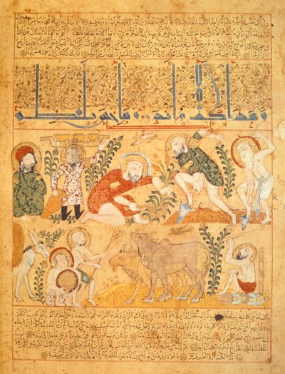 Andromenadros, Farmaceuta, bada prace rolnicze, ilustracja z Księgi antidotów „Kitab al-Diryaq”, Pseudo-Gallen (wellum) autorstwa School Iraqi