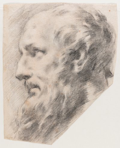 Profil głowy (węgiel na papierze) autorstwa School Italian