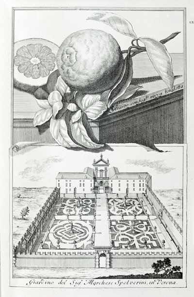 Willa markiza Spolveriniego z Werony, z „Wille, ogrody i krajobrazy w Wenecji” autorstwa A. Volkamera (grafika) autorstwa School Italian