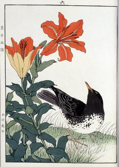 Kwiaty kosa i lilii - nadruk japoński autorstwa Japanese School
