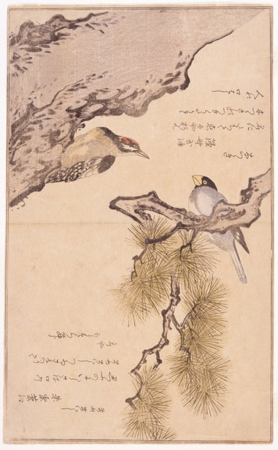 Dwa Ptaki Na Drzewie autorstwa School Japanese