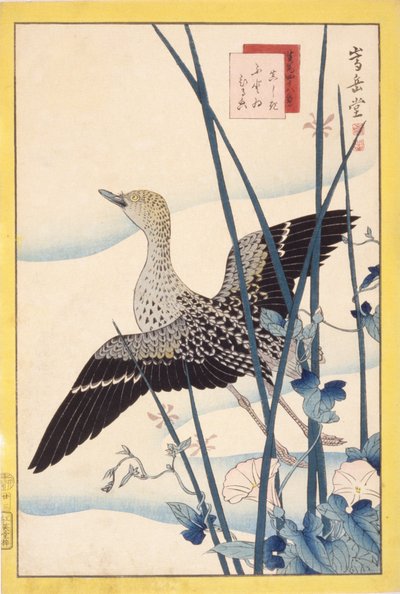 Dzika kaczka autorstwa School Japanese
