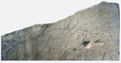 Hebrajski napis pogrzebowy z Beth Loya, Pogórze Judzkie, Izrael, VI w. p.n.e. (kamień) autorstwa School Levantine