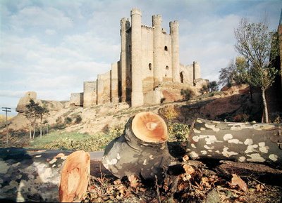 Castillo de Coyanza, zbudowany w XIV-XV w. przez hrabiów Walencji (zdjęcie) autorstwa School Spanish