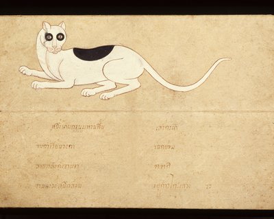 Fragment manuskryptu o kotach syjamskich, początek XX wieku (akwarela na papierze) autorstwa School Thai