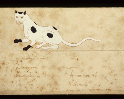 Fragment manuskryptu o kotach syjamskich, początek XX wieku (akwarela na papierze) autorstwa School Thai