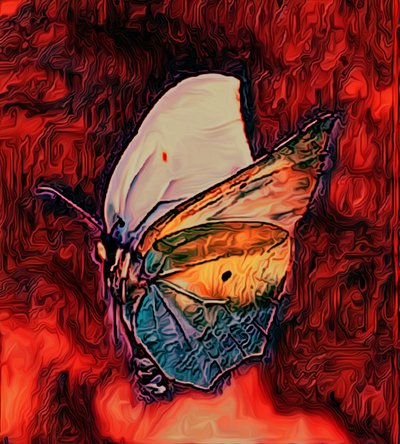 Butterfly, 2021 autorstwa Scott J. Davis