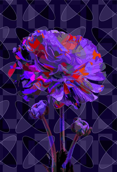 Goździk2, 2019 autorstwa Scott J. Davis
