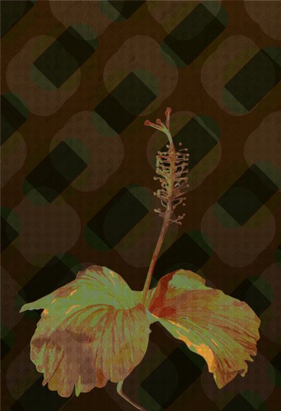 Hibiskus,2 2019 autorstwa Scott J. Davis