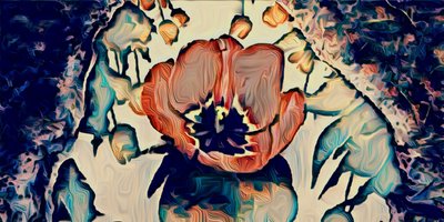 Lilia wodna, 2021 autorstwa Scott J. Davis