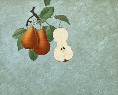Pyris Stradivarius, 2016 (scratchboard, pokolorowany cyfrowo) autorstwa Scott McKowen