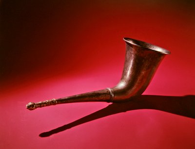 Róg do picia z zwieńczeniem głowy lwa (srebrno-złoty) autorstwa Scythian