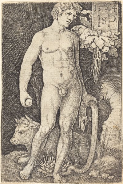 Adam Stojący autorstwa Sebald Beham