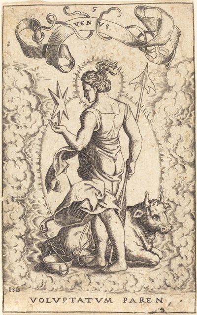 Wenus autorstwa Sebald Beham