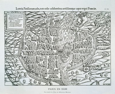Plan miasta Paryża ok. 1530 (drewno) autorstwa Sebastian (after) Münster