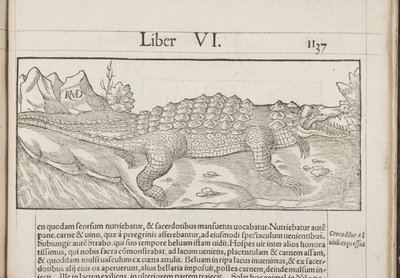 Kosmografia, Fol 1137, 1544 autorstwa Sebastian Munster
