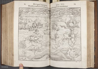 Kosmografia, Fol 852-853, 1544 autorstwa Sebastian Munster
