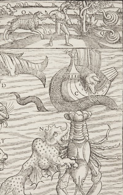 Kosmografia, Fol 853, 1544 autorstwa Sebastian Munster