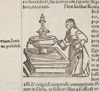Kosmografia, detal Fol 202 autorstwa Sebastian Munster