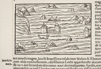 Kosmografia, fragment Fol 516 autorstwa Sebastian Munster