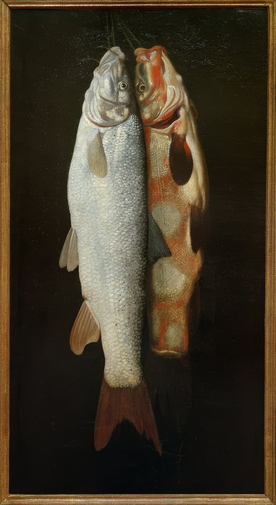 Ryba martwa natura autorstwa Sebastian Stosskopf