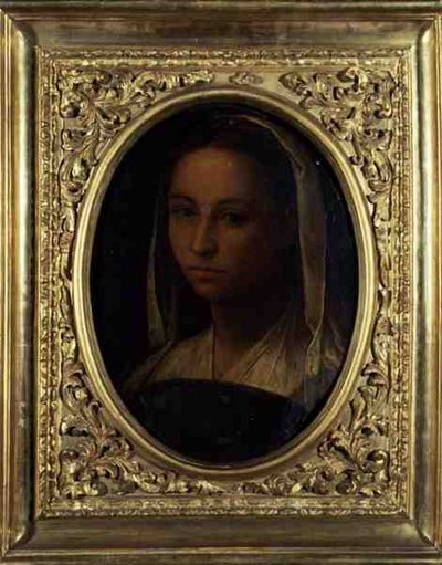 Portret dziewczynki (olej na płótnie) autorstwa Sebastiano del (c.1485 1547) Piombo