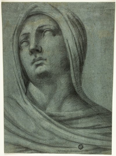 Głowa i ramiona zawoalowanej kobiety autorstwa Sebastiano del Piombo