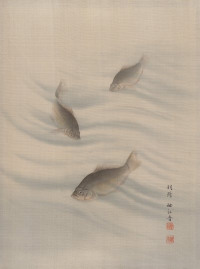 Ryby Pływanie, ca. 1890-92. autorstwa Seki Shuko
