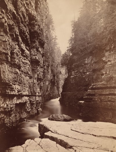 Ausable Chasm – w górę rzeki od Table Rock autorstwa Seneca Ray Stoddard