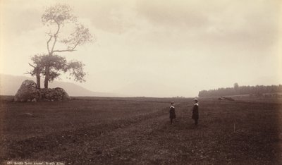 Na południe od Ames, North Elba, ok. 1888 (zdjęcie) autorstwa Seneca Ray Stoddard